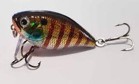 Wakebait
