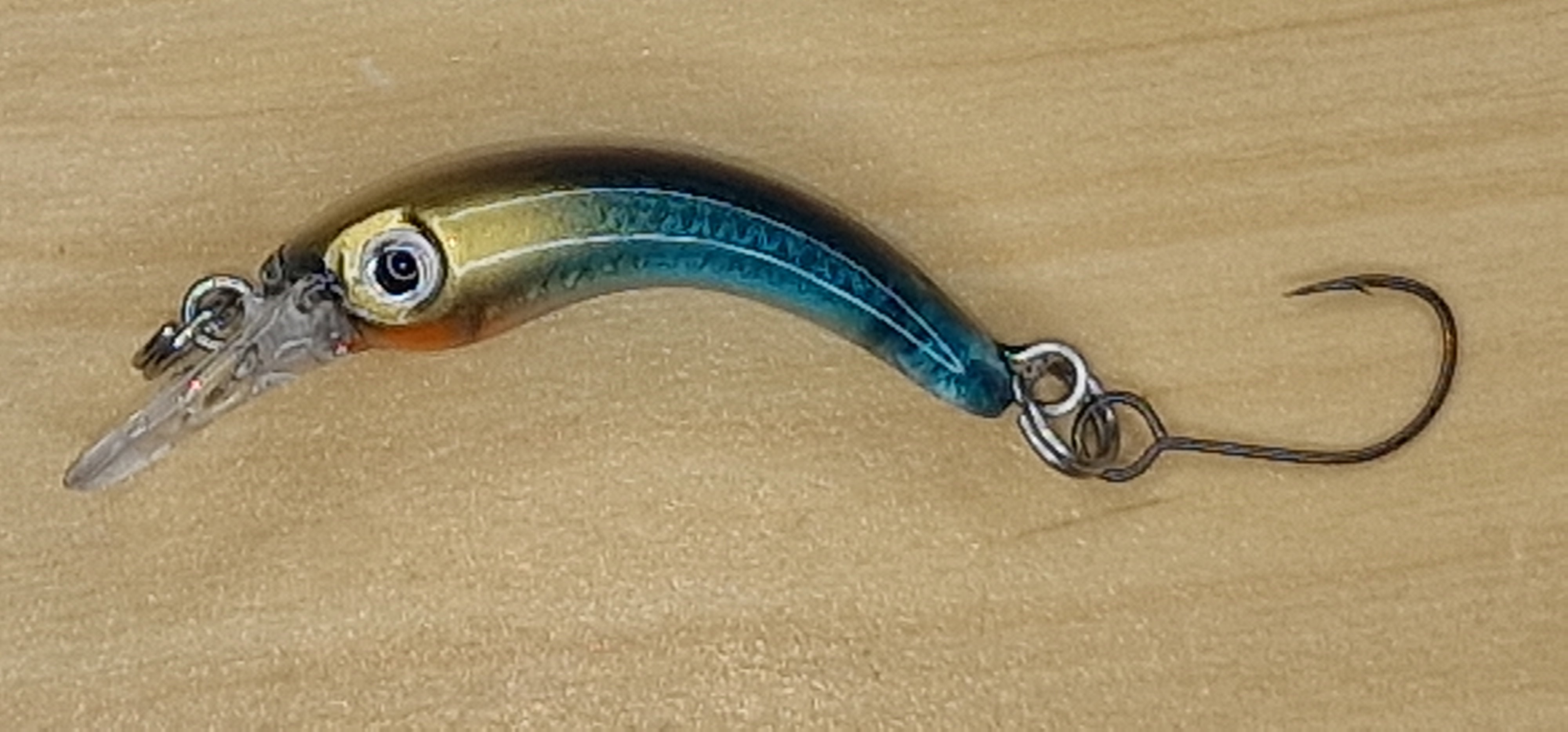 Troutty in Golden Head (1-15)