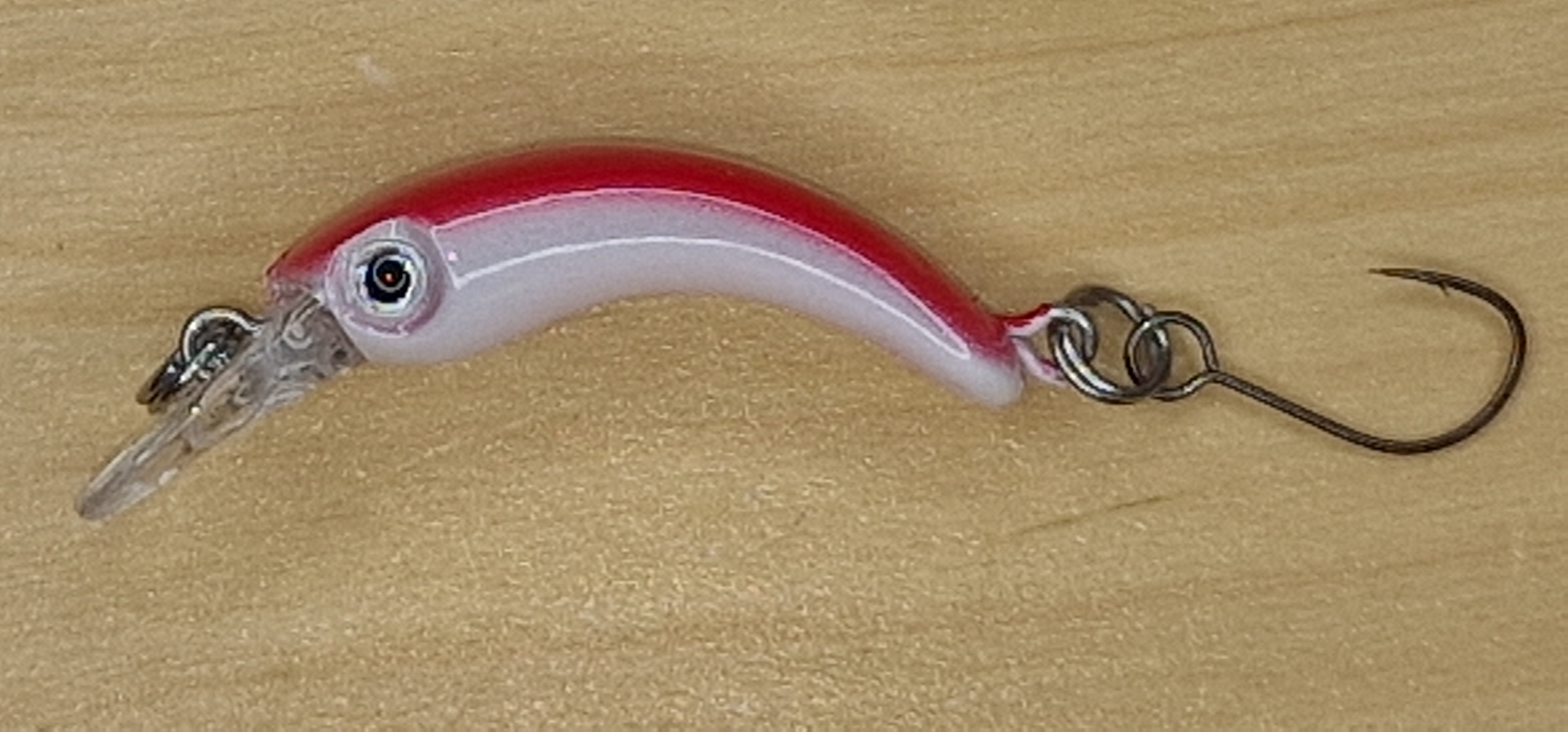 Troutty in rot weiß (2-13)