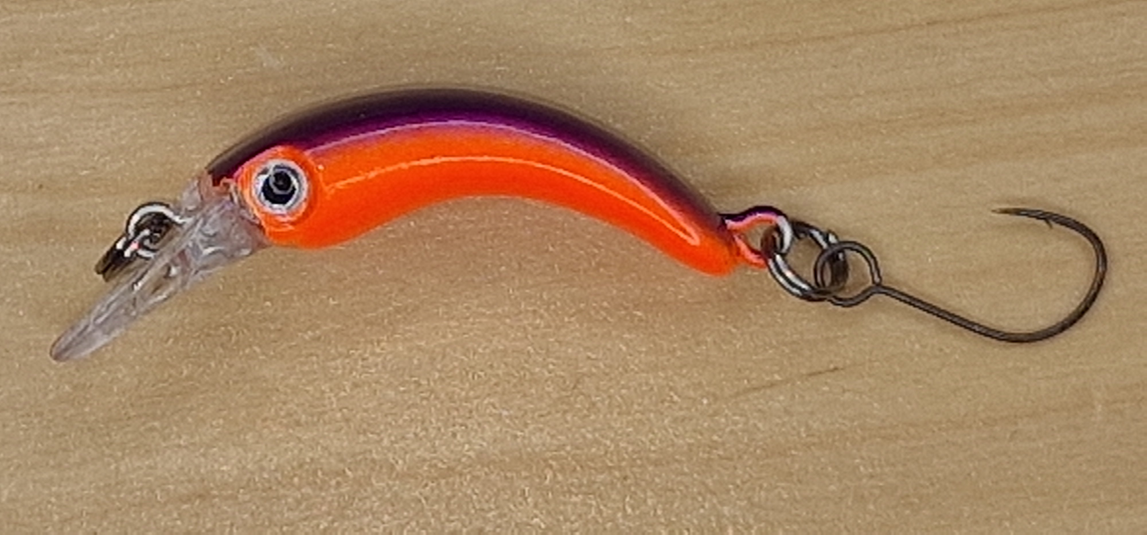 Troutty in violett orange (2-3)