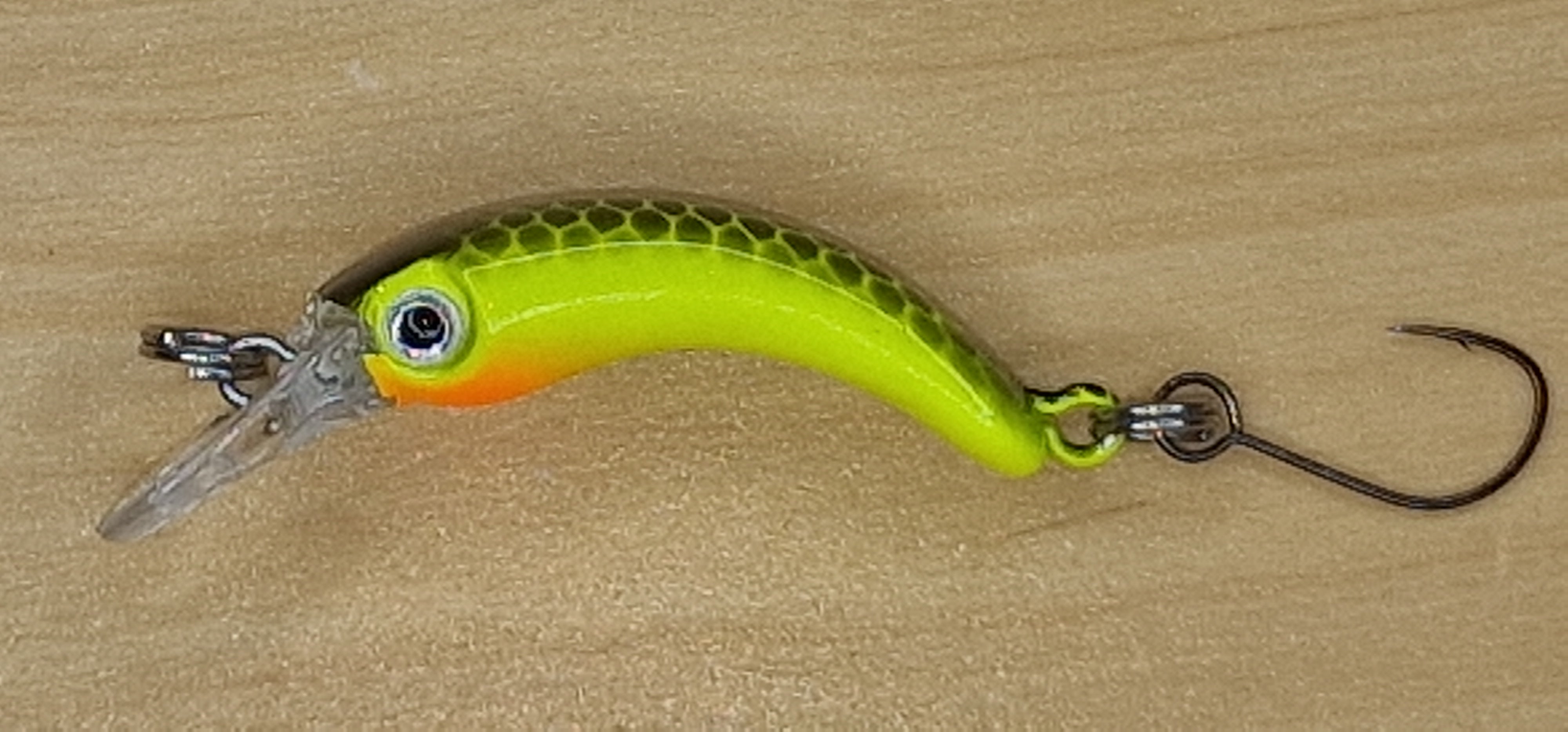 Troutty in yellow Leopard