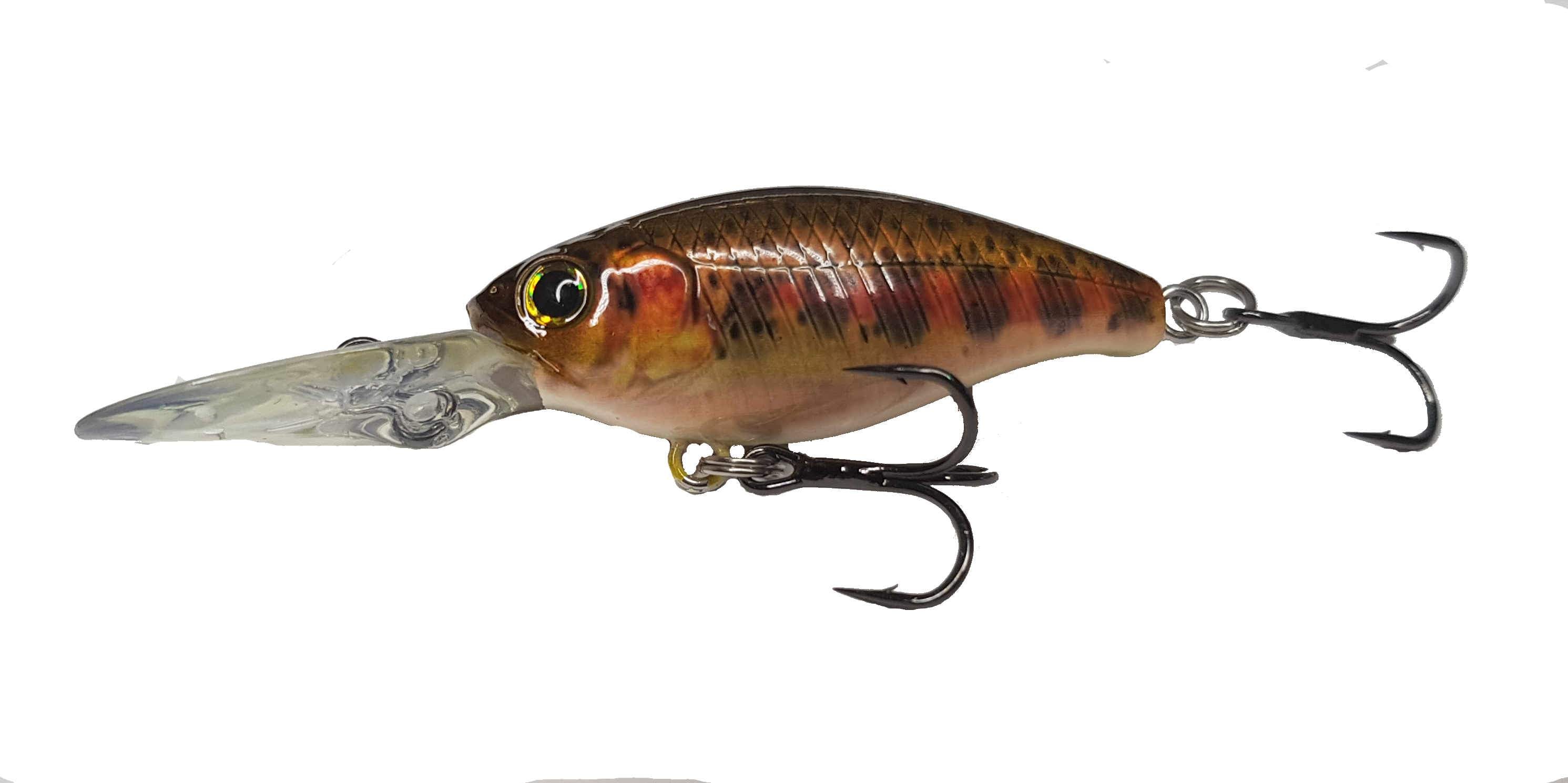 Wobbler Deep Chip in Bachforelle