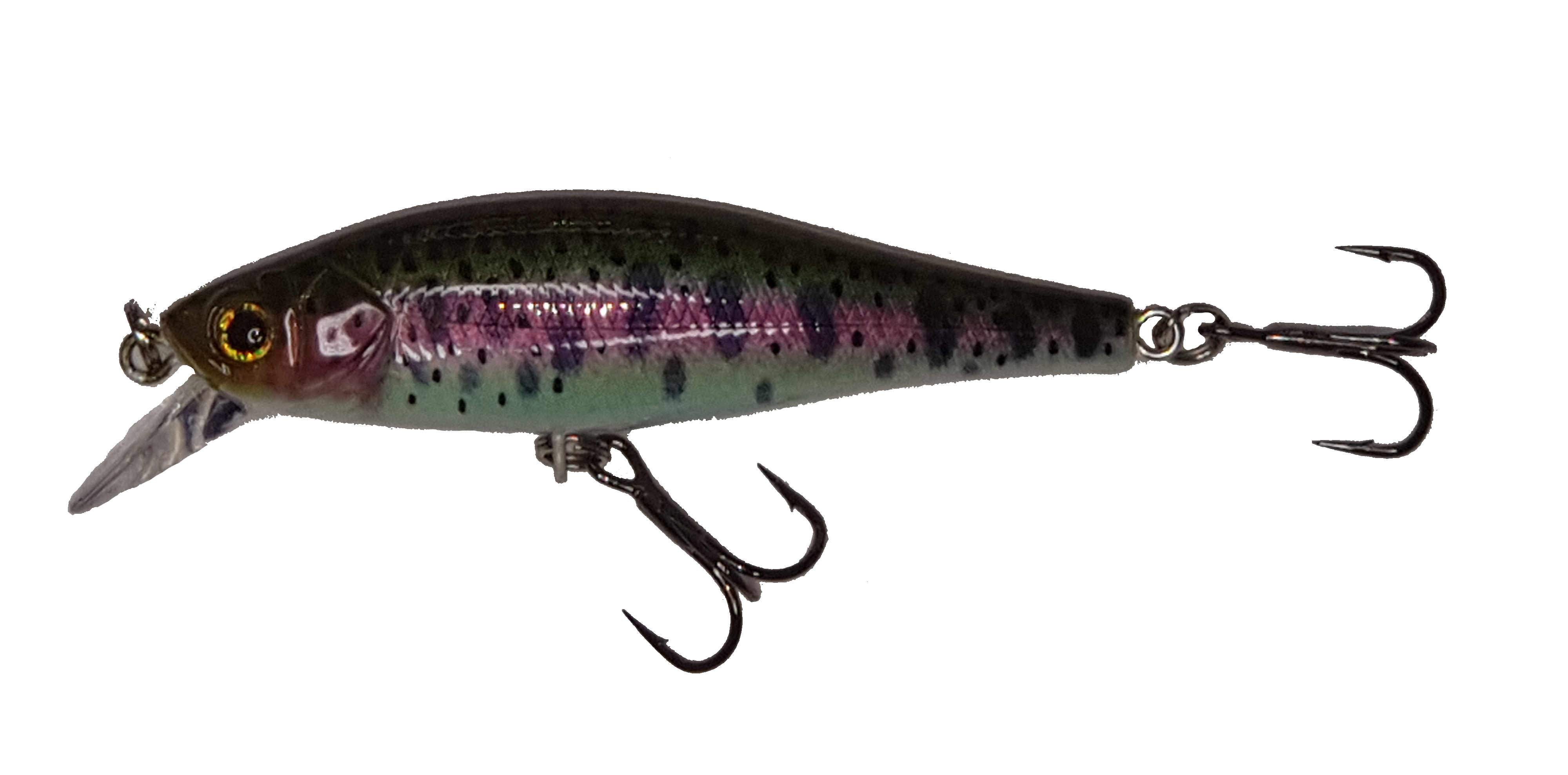 Doen Yeo in Regenbogenforelle