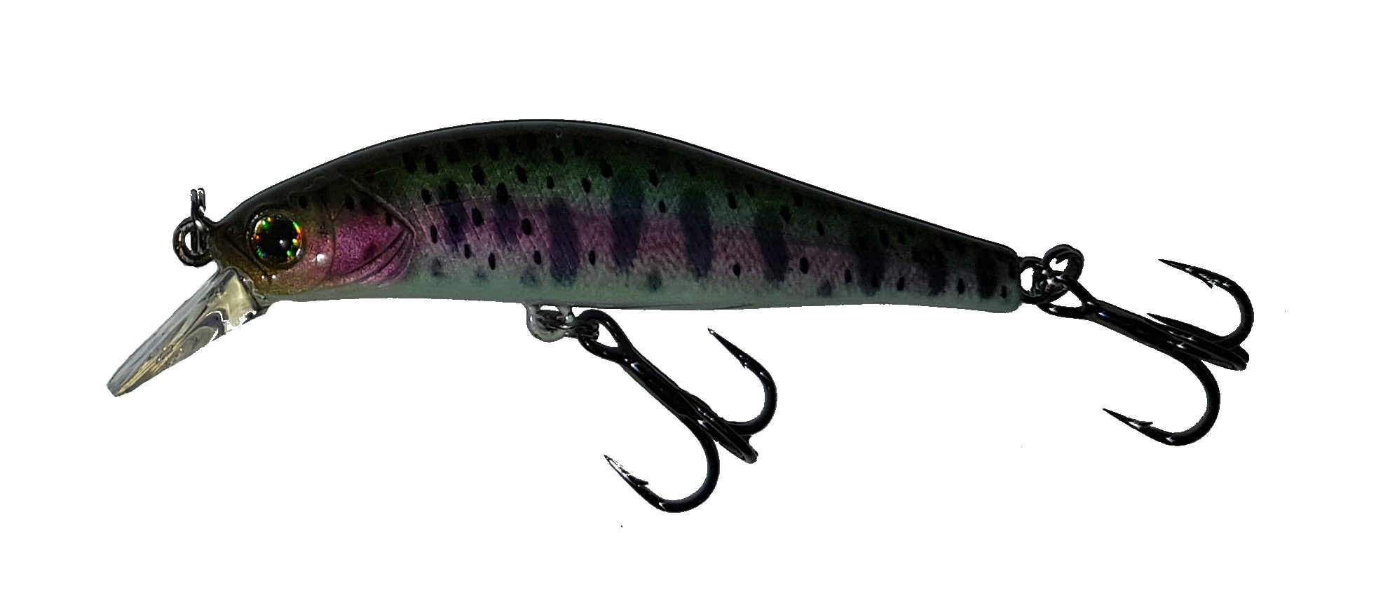 Dorothy in Regenbogenforelle