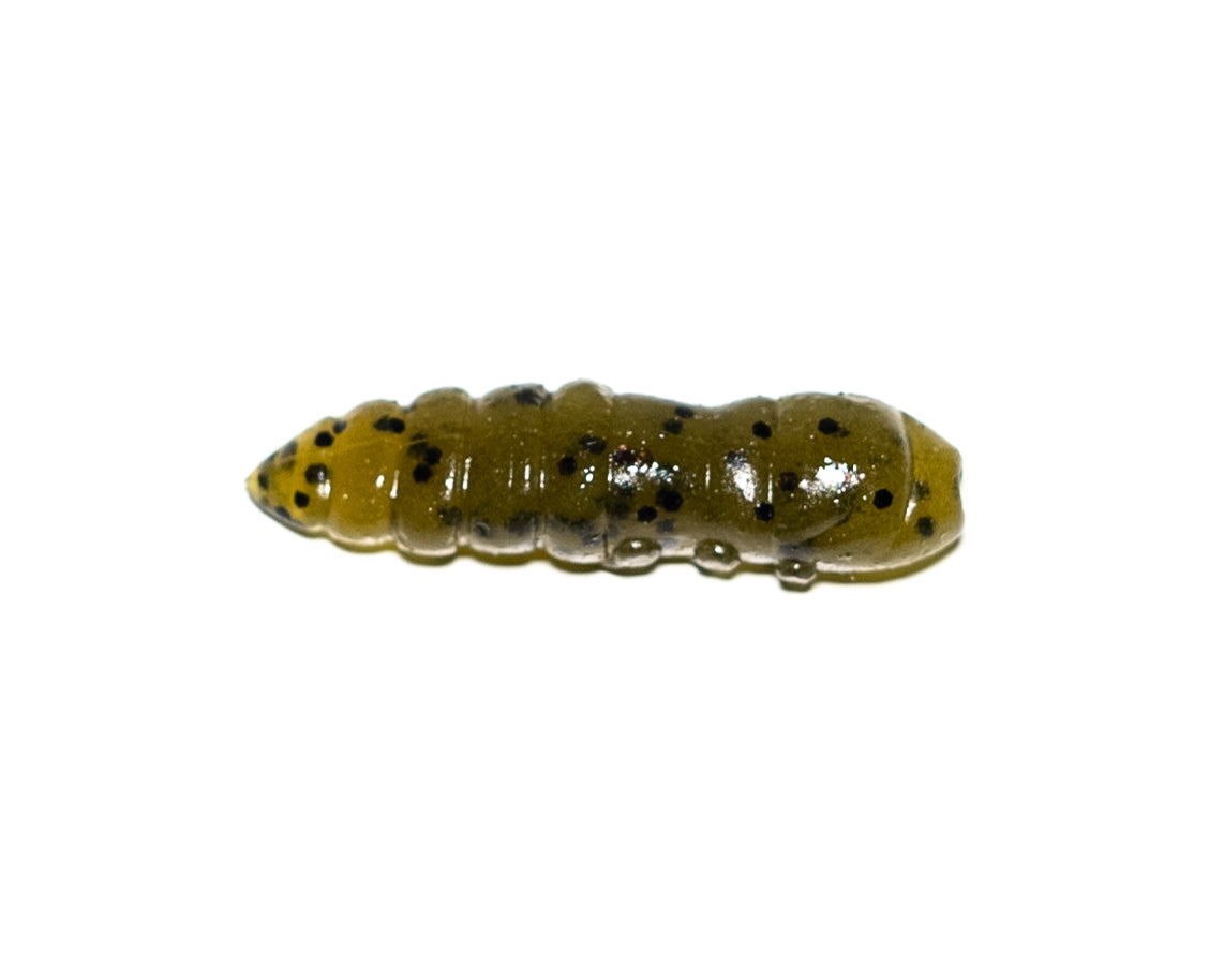 10 Stück Pupa in Oily Oliv