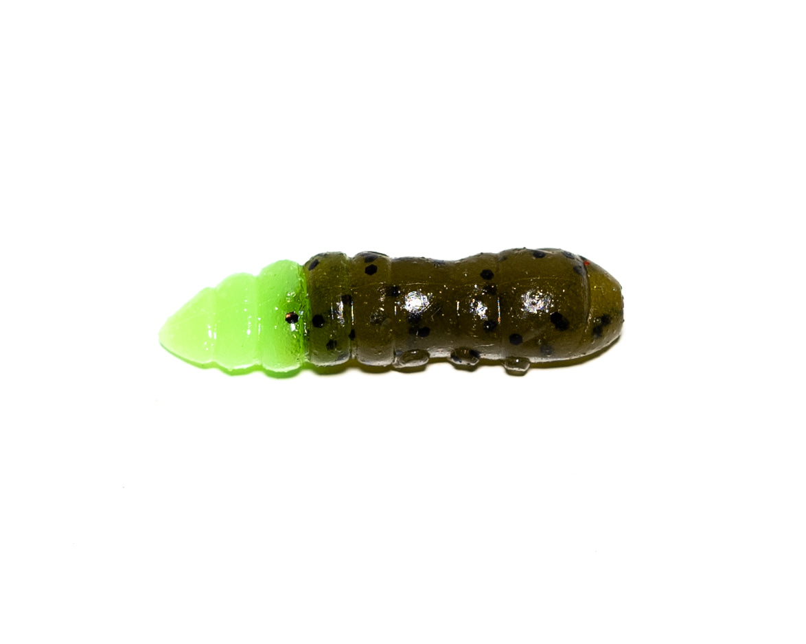 PUPA Forellen