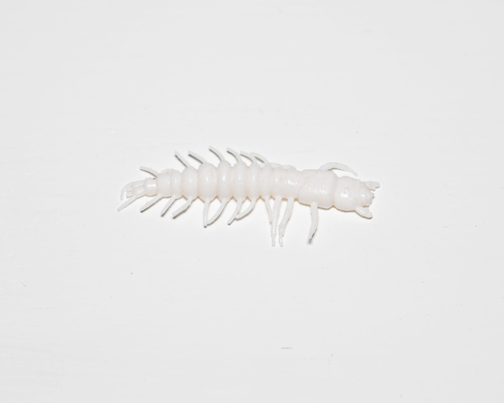 10 Stück Tonbo in Weiß