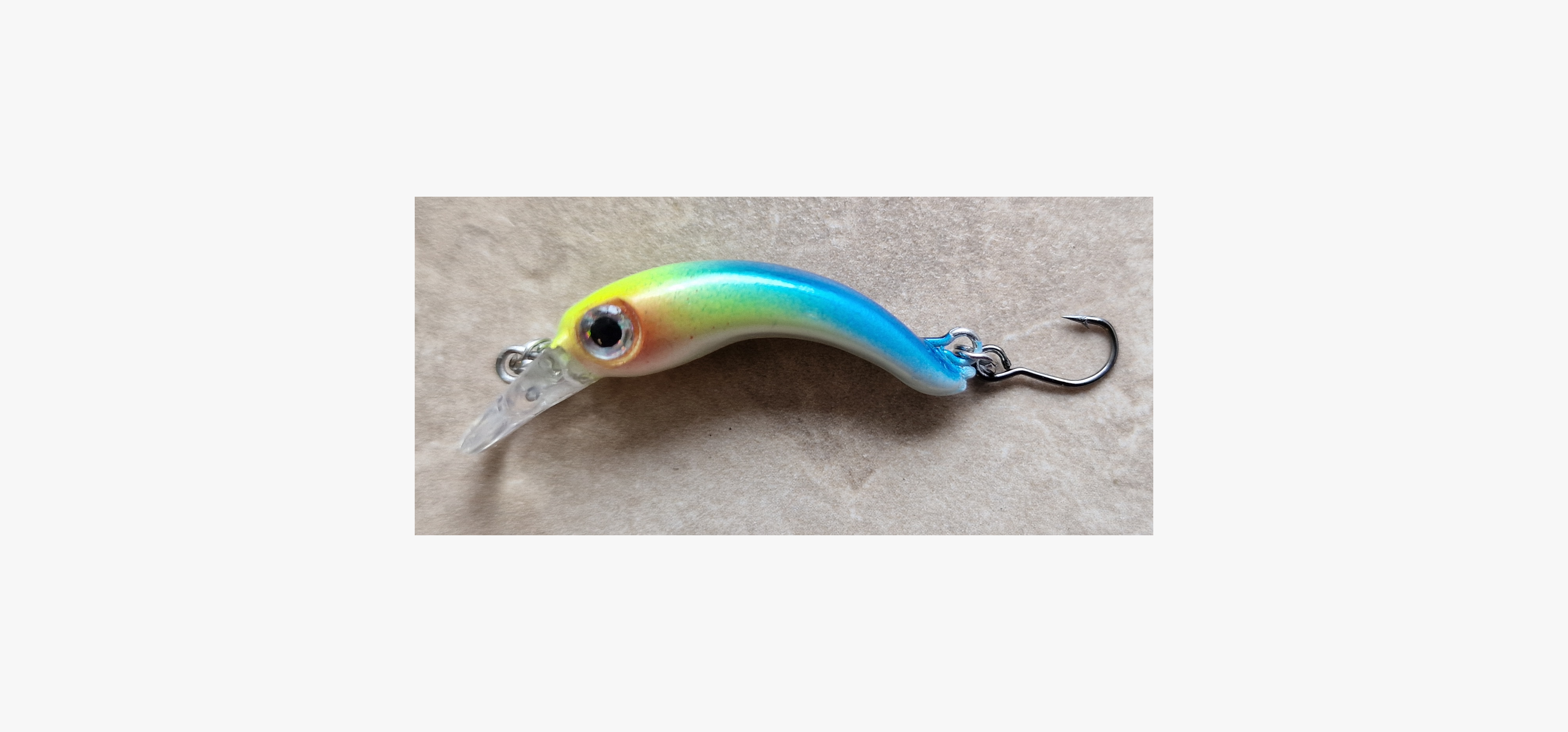 Troutty in Rainbow