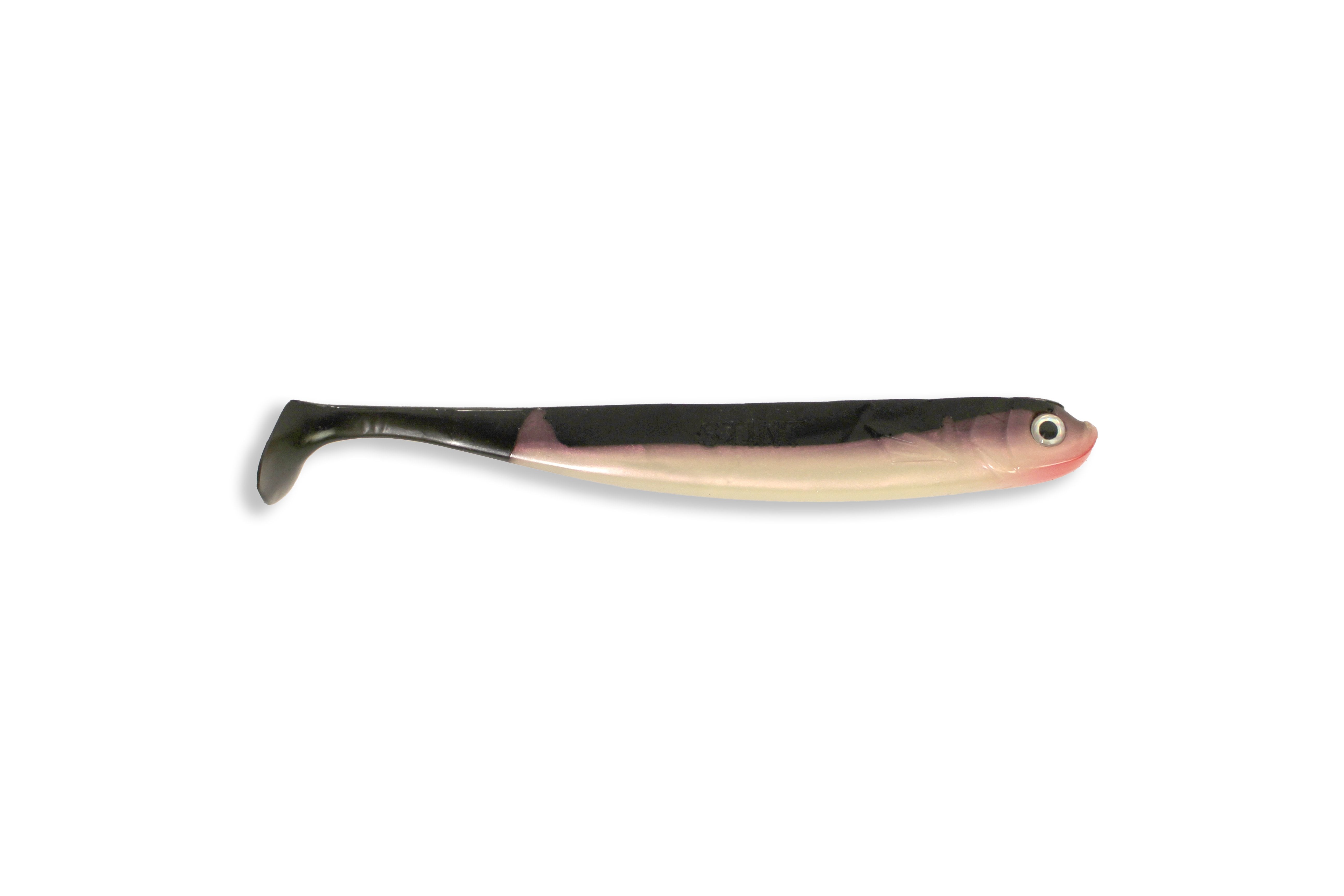 ** ABVERKAUF ** Stint Shad - Japanischer Weißfisch